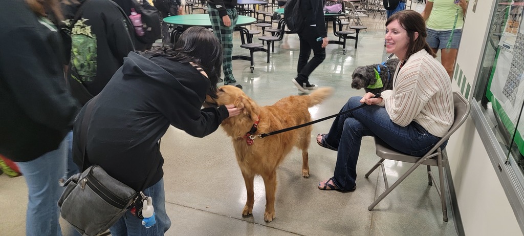 therapy dogs at the ALC