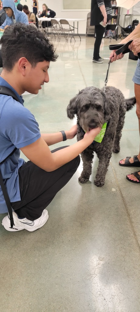 therapy dogs at the ALC