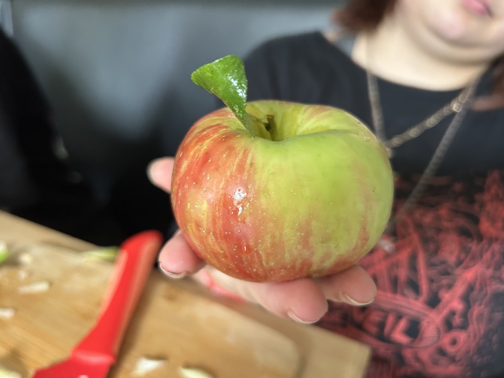 Students picking apples from ALC trees.