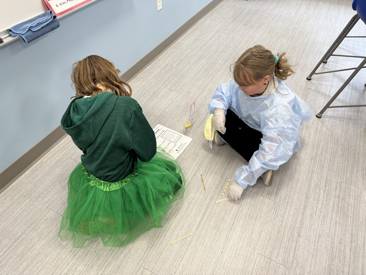 Native American Stick Game