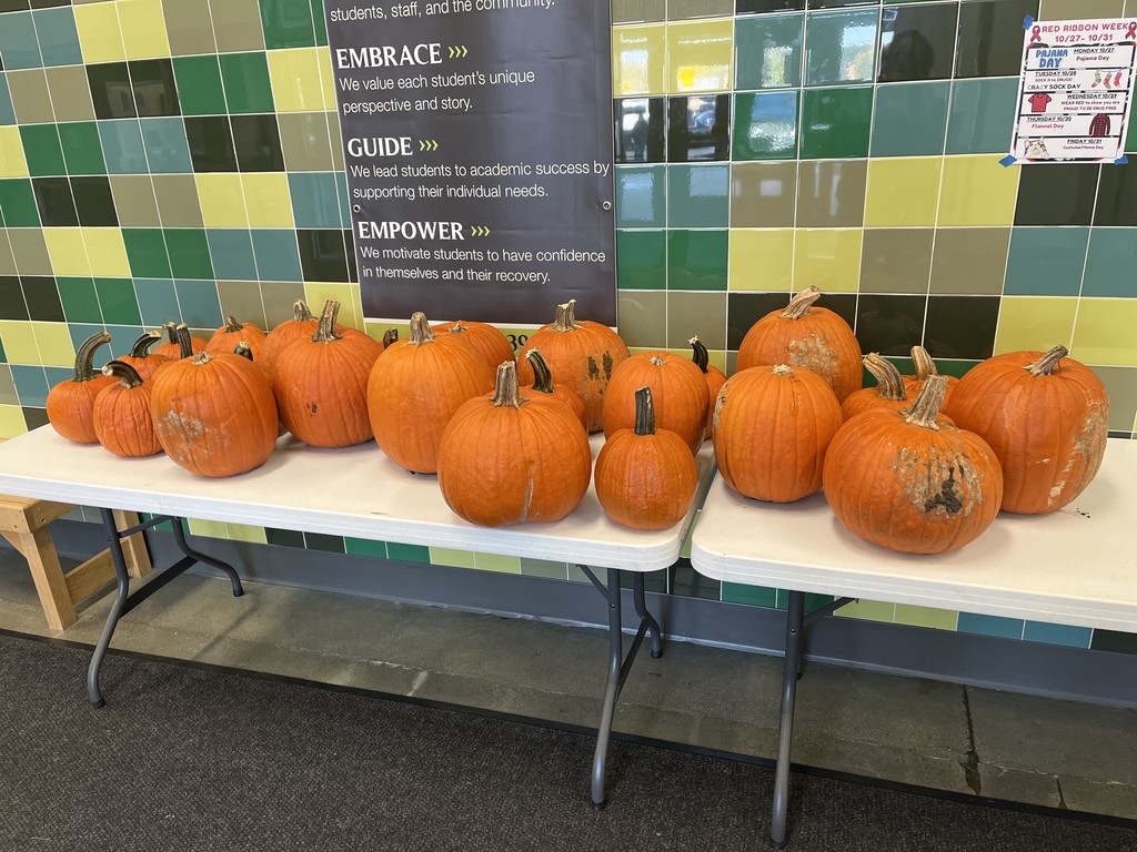 donated pumpkins from Sekapp Orchard