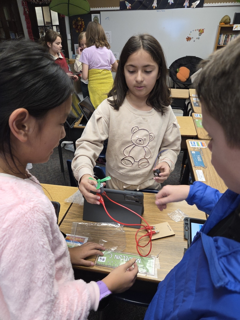 Ms. Sorum's 4th grade scientists