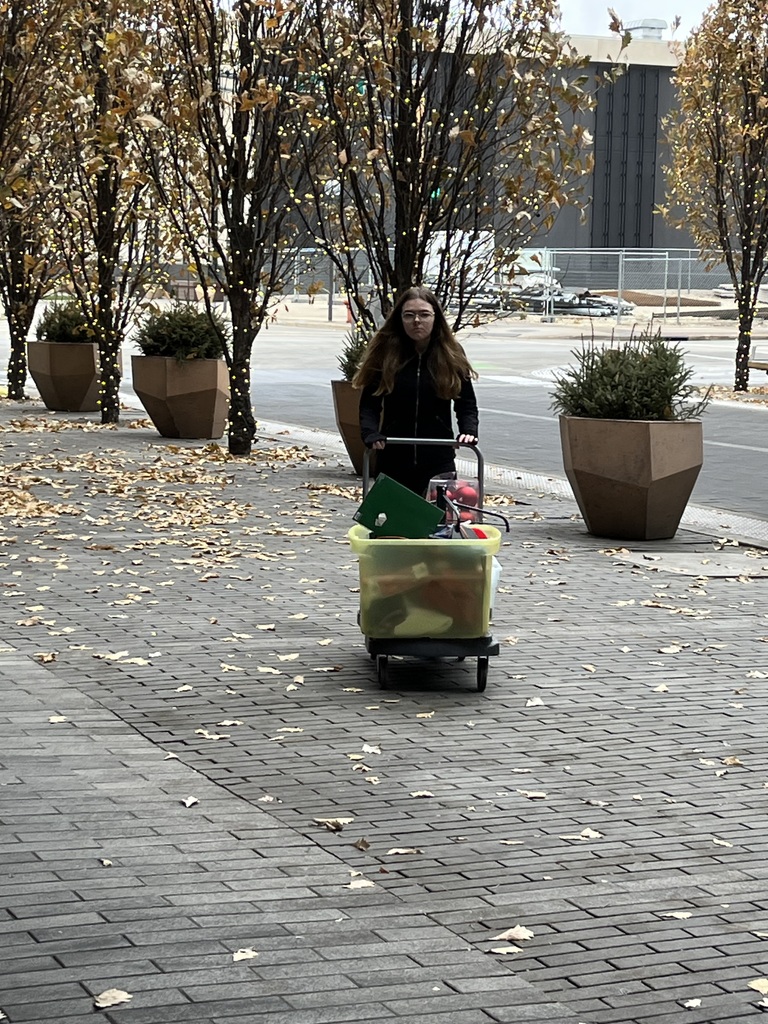 ALC students volunteer at Festival of Trees