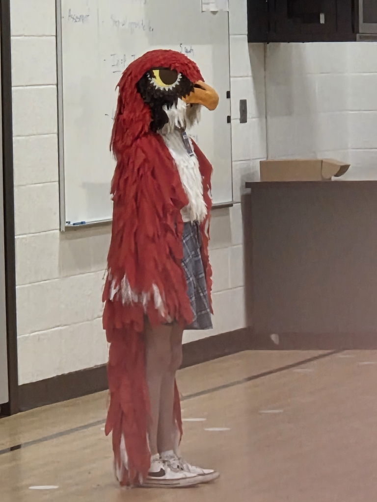 Our Falcon Mascot