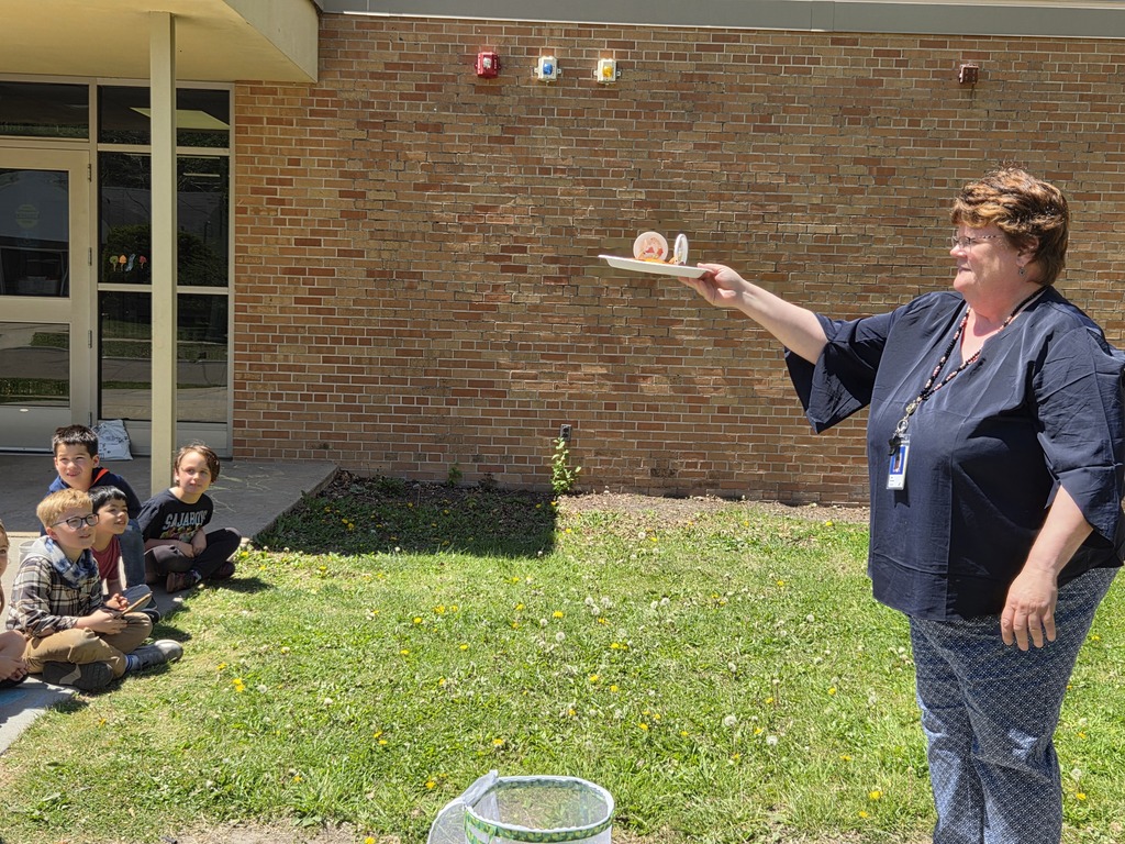 Releasing butterflies 