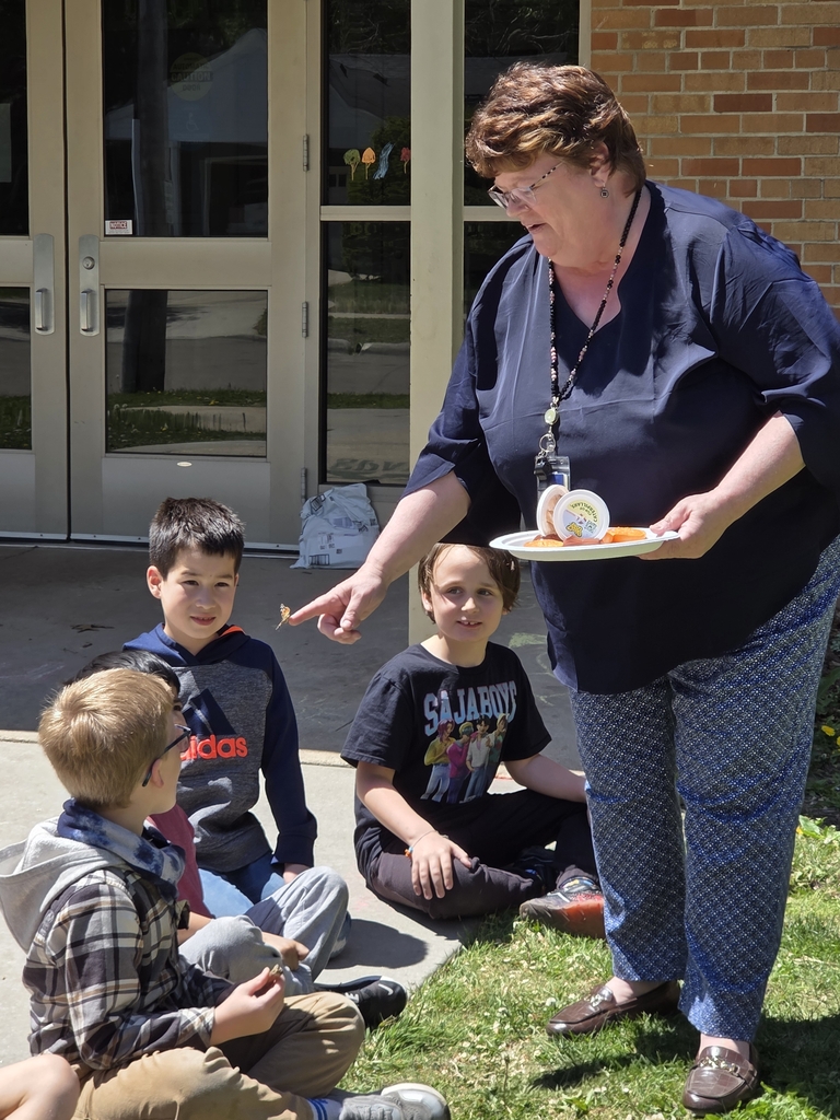 Releasing butterflies 