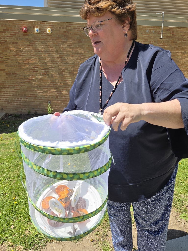 Releasing butterflies 