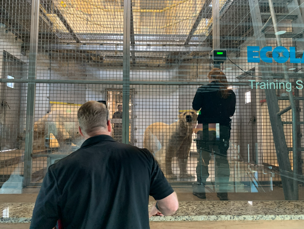 zoo