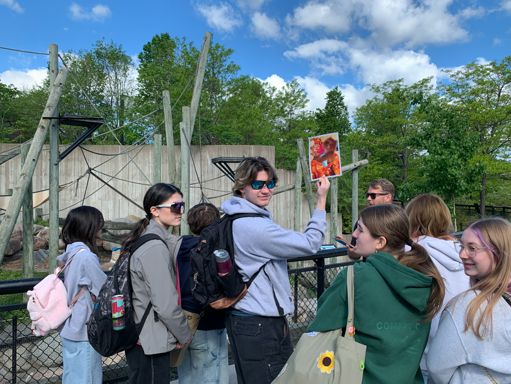 zoo