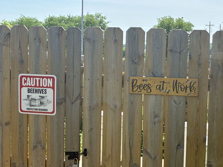 bees