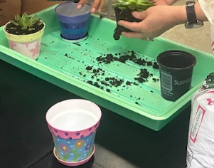 4H partnership