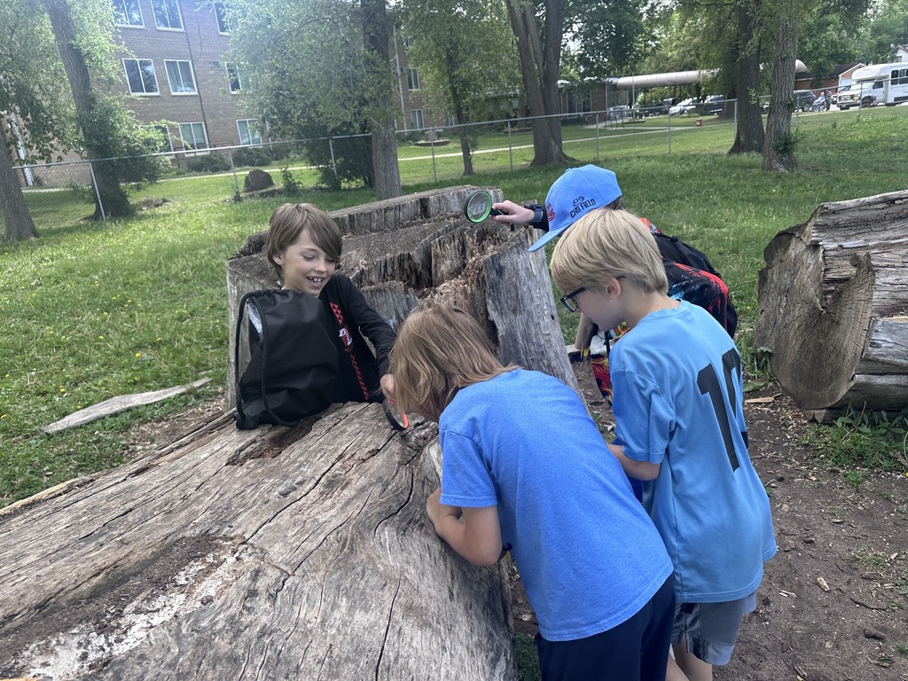Children looking at a bug
