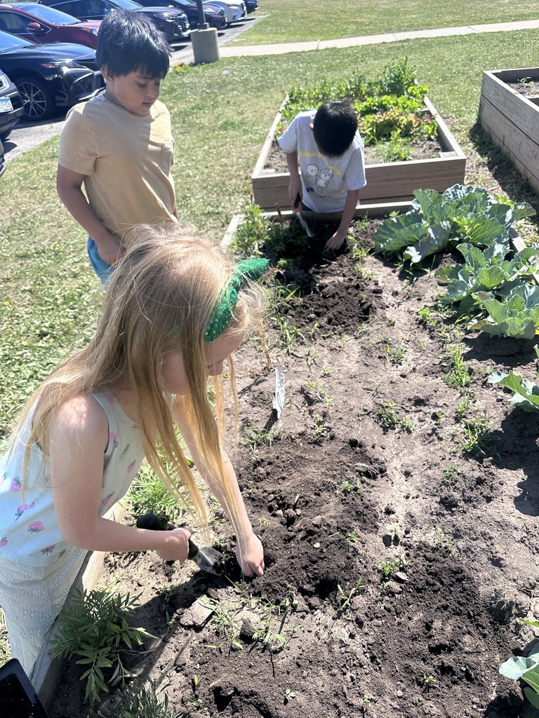Children digging in the dirt