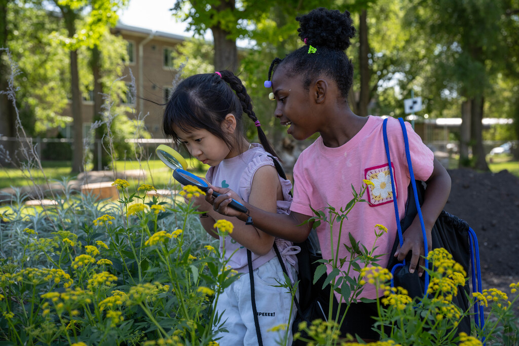 Kids looking at flowers with a magnifying glass