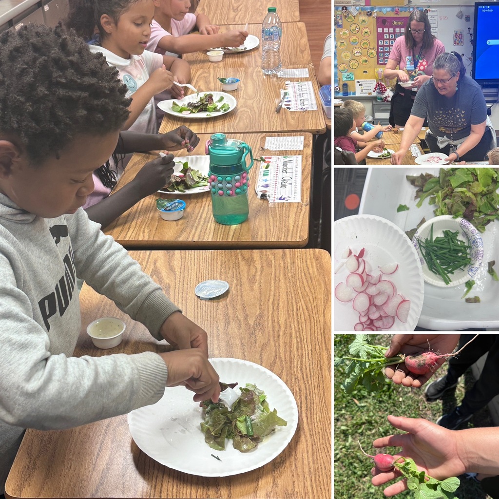 Students making a salad
