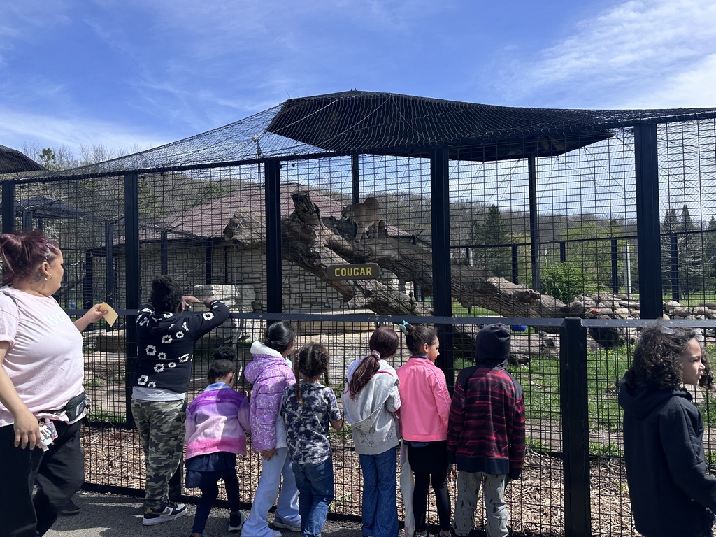 children at a zoo