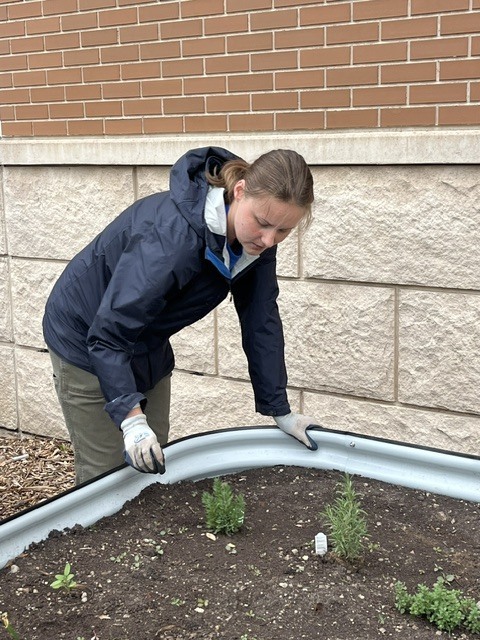 Erika weeding the beds