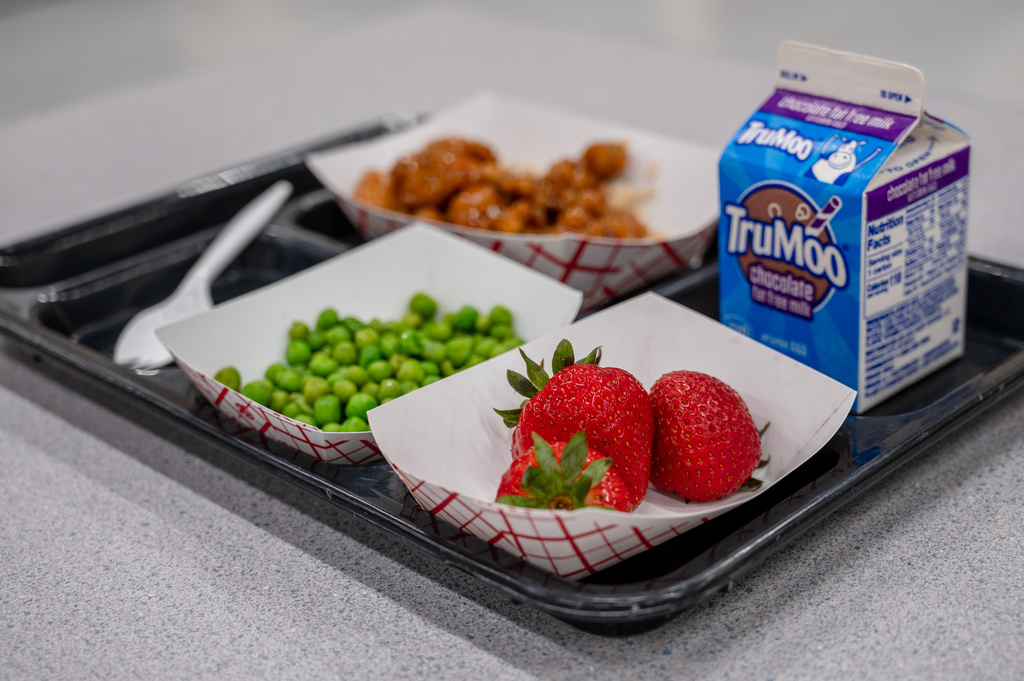 A summer meal lunch tray full of fresh green peas, strawberries, chocolate trumoo milk, and orange chicken with rice.