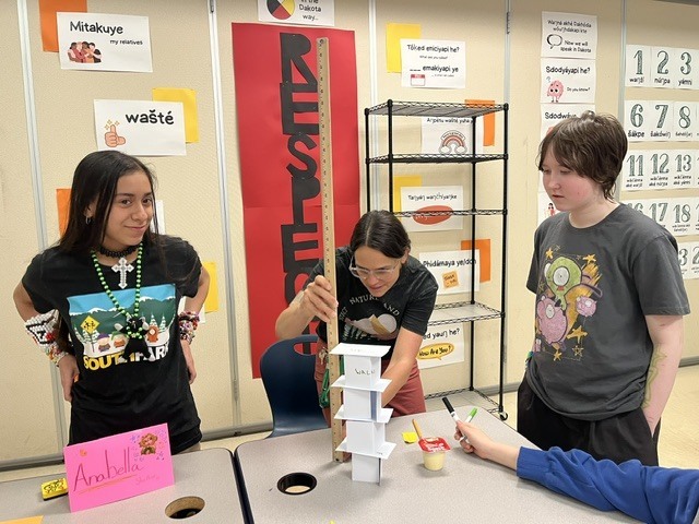 STEAM challenge