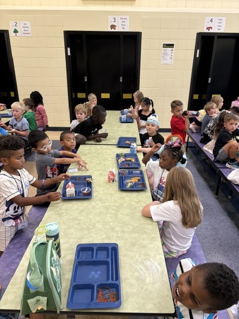Our newest Penguins!  