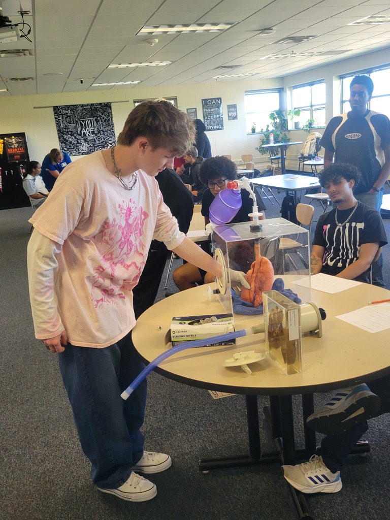 Interactive mentoring