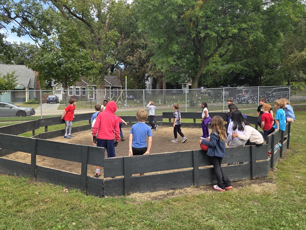 Lots of gaga ball fun