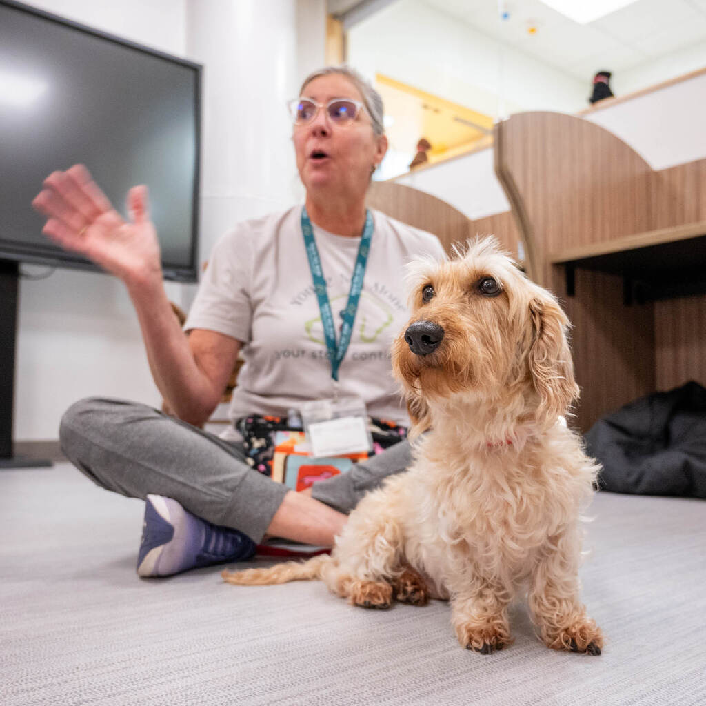 A curly-haired dachshund and his owner sit on the floor.