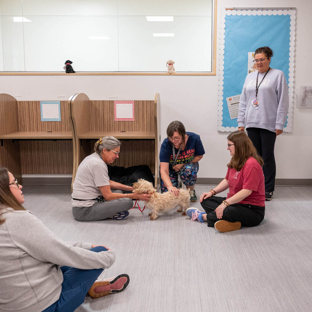 Teachers gather around to meet the therapy dog.