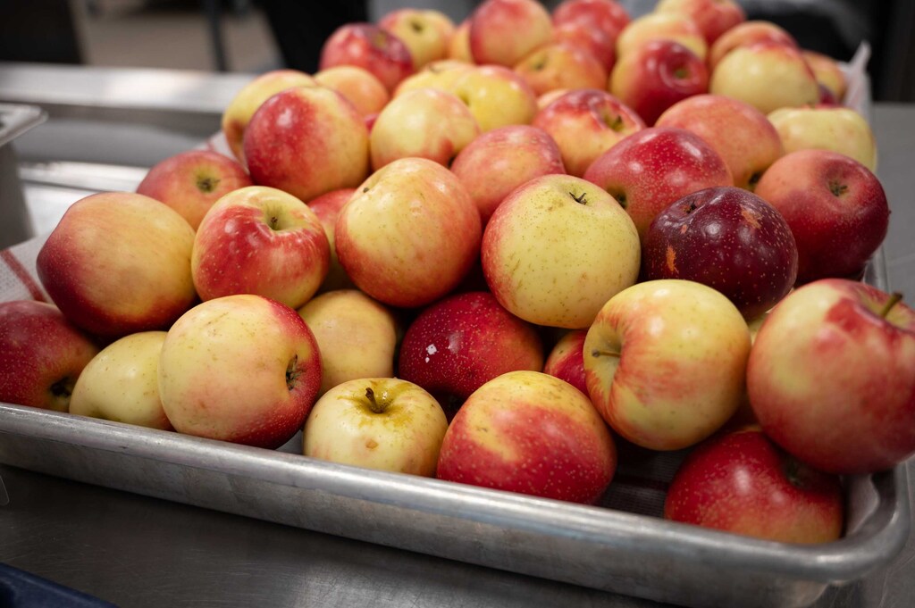 Apples