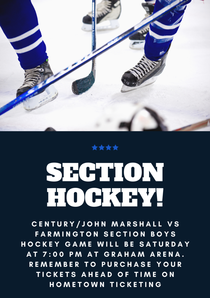 Hockey Game Saturday