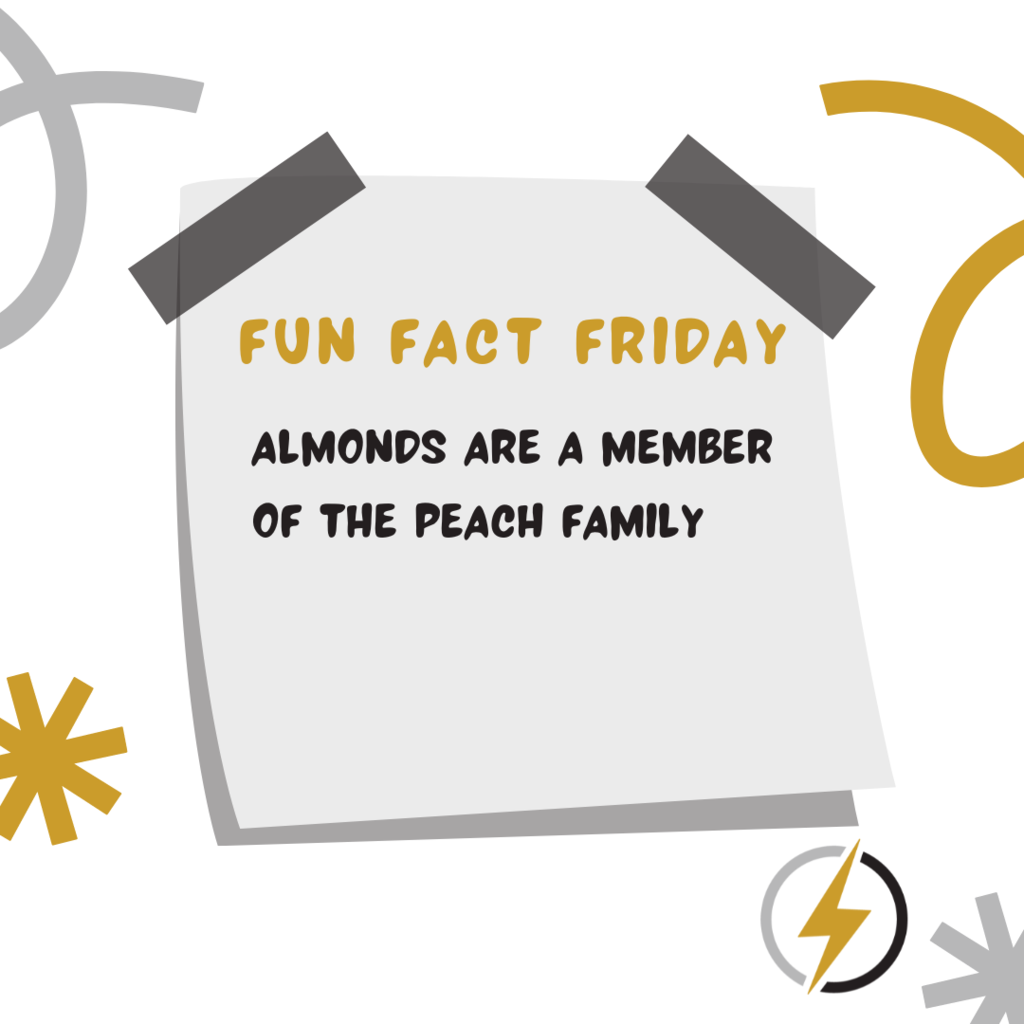 #FunFactFriday