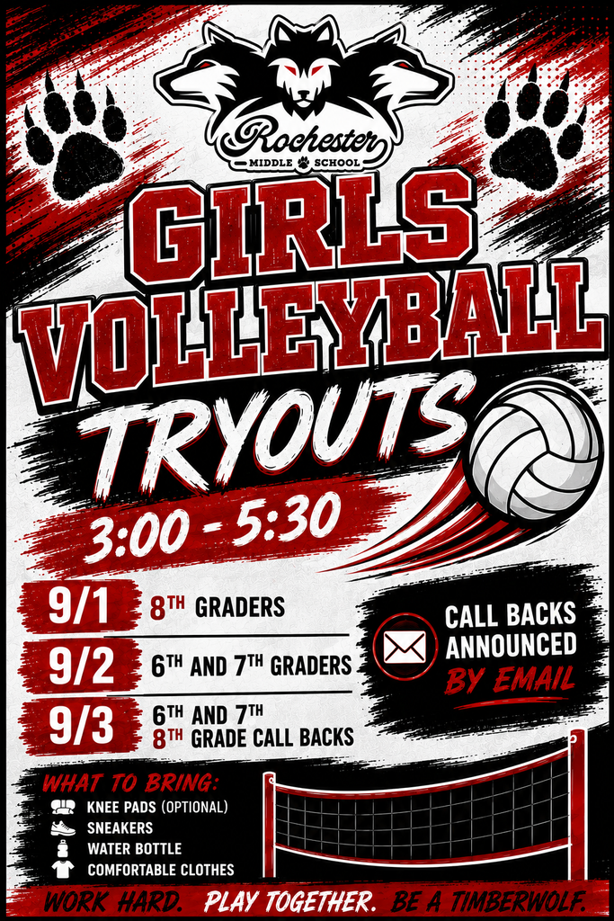 volleyball2
