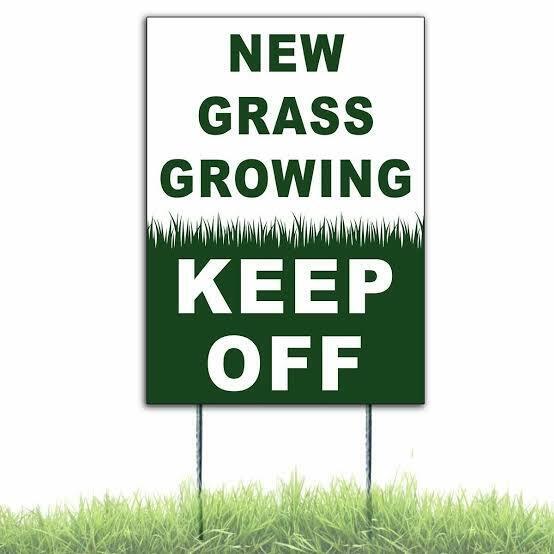 Grass