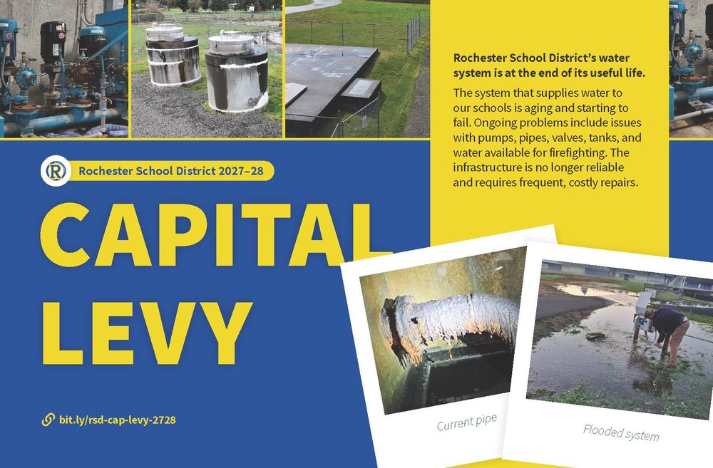 Capital Levy