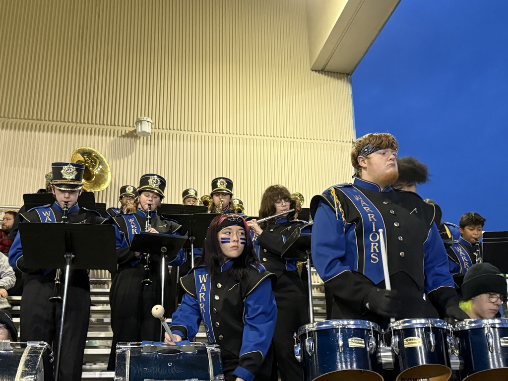 Band in the stands