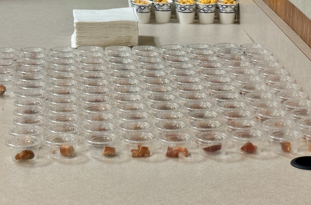 Smoked Salmon Samples