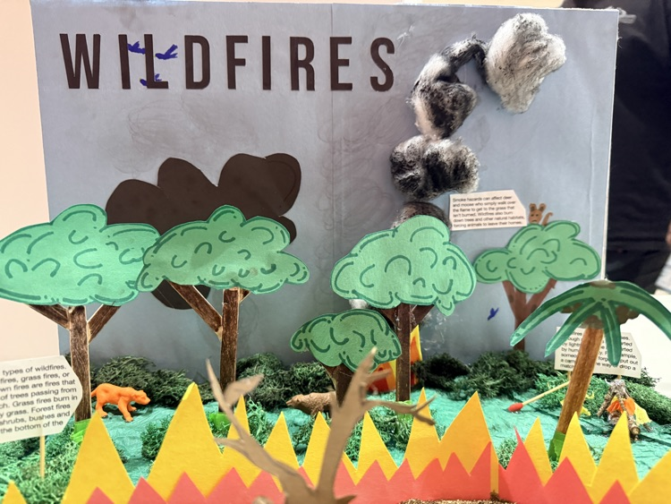 wildfire Project
