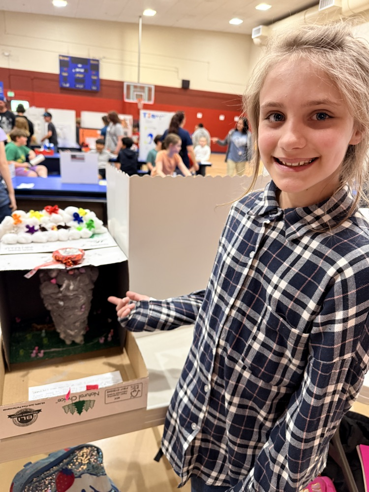 tornado project