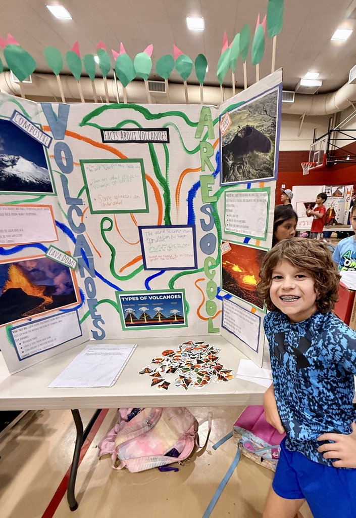 volcano project