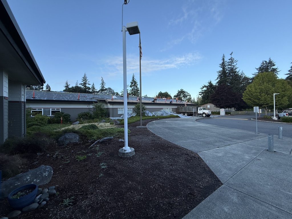 Empty street with sidewalk, street light, shrubs, and rock. Building with green roof in background. Trees and bushes beyond.