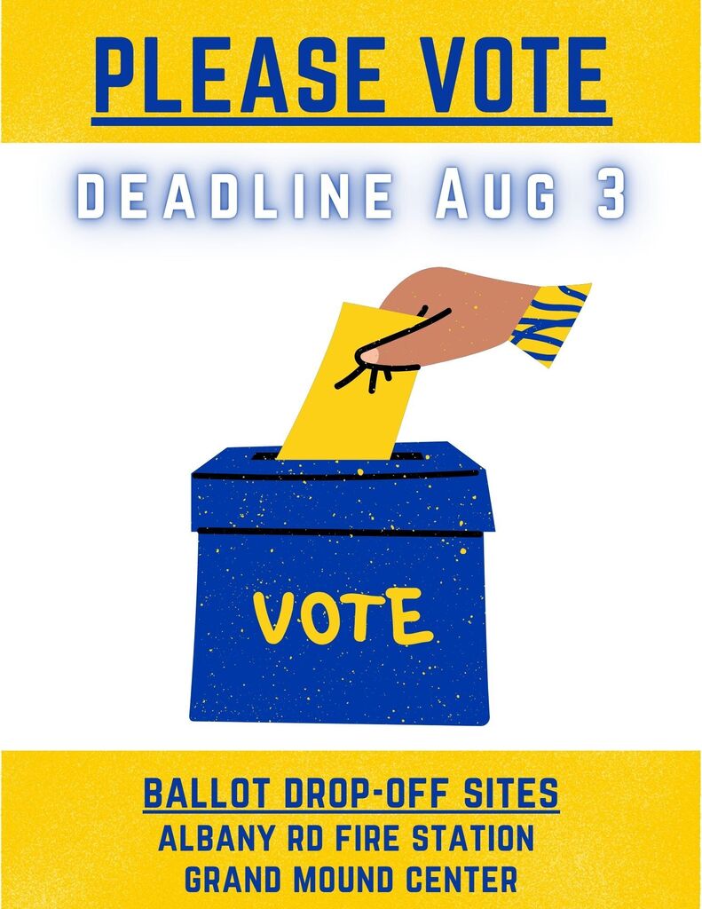 A blue box displays "VOTE". A hand inserts a yellow paper into the box. Text reads: "PLEASE VOTE, DEADLINE AUG 3".