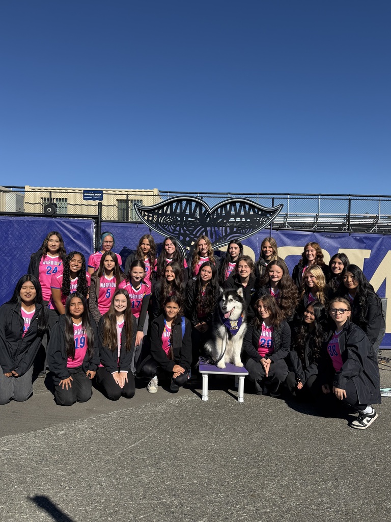 Group photo of a team in pink shirts posing in front of a purple backdrop with a dog on a stool.