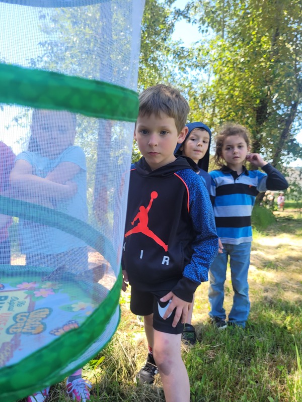 Kids look at butterfly