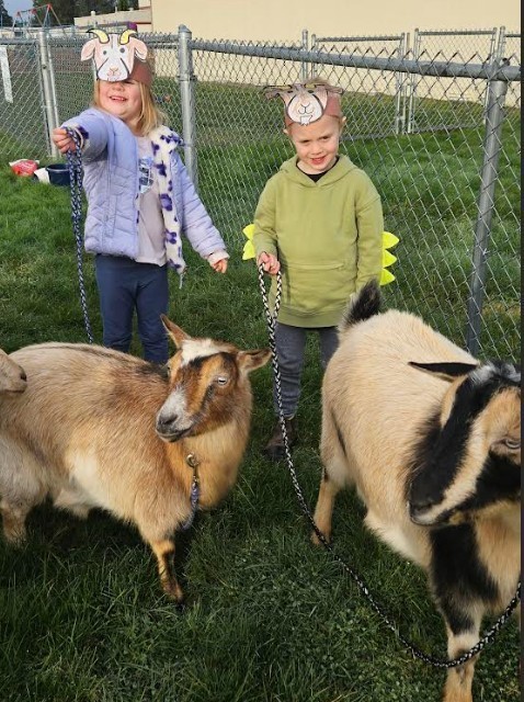 students with goats