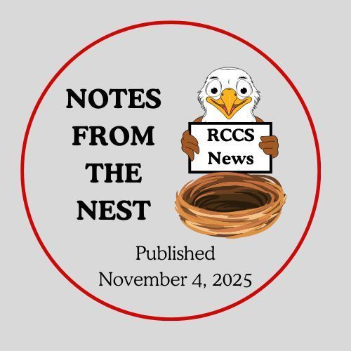 Notes from the Nest