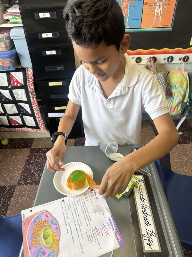 Rock County Christian Schools 3rd grade science