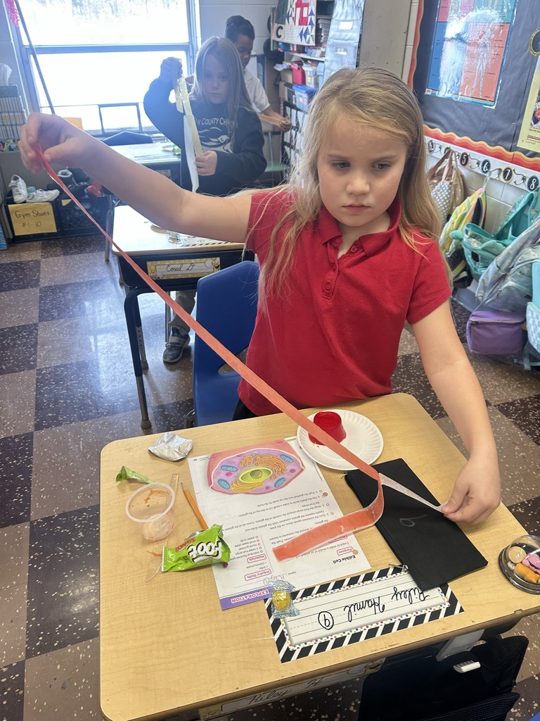 Rock County Christian Schools 3rd grade science