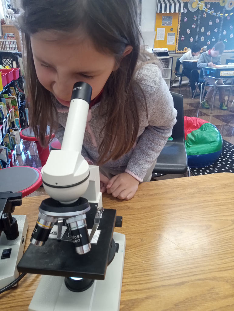 Rock County Christian Schools 3rd grade science