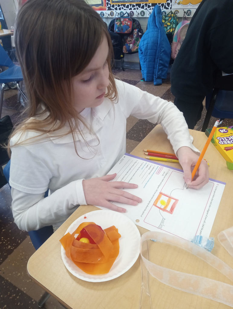 Rock County Christian Schools 3rd grade science