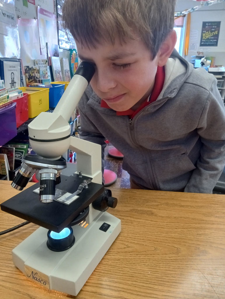 Rock County Christian Schools 3rd grade science
